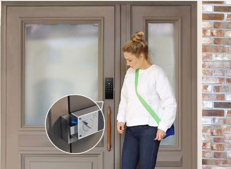 CS-DL03-R100-WBCP-GR : Smart Rim Lock
